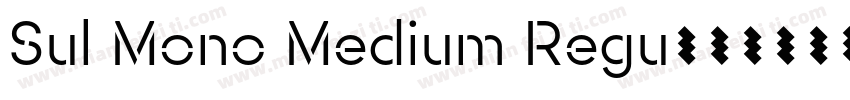 Sul Mono Medium Regu字体转换